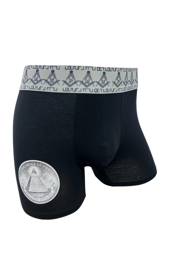 New World Order Boxer Brief